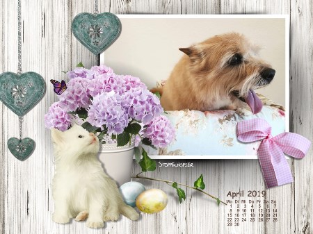 April 2019 -hier klicken 1 April 2019 -hier klicken 1