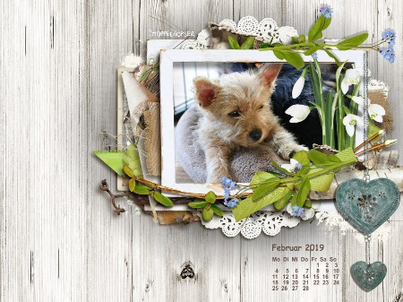 Februar 2019 -hier klicken 1 Februar 2019 -hier klicken 1