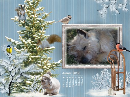 Januar 2019 -hier klicken1 Januar 2019 -hier klicken1