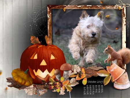 Oktober 2019 -hier klicken 1 Oktober 2019 -hier klicken 1