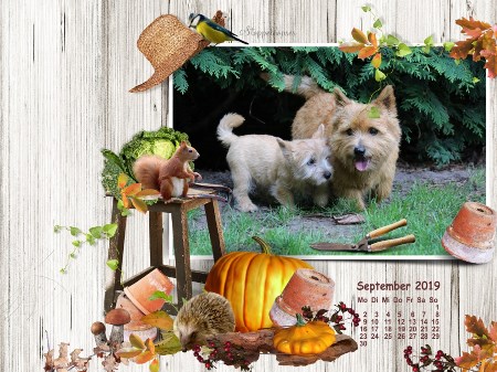 September 2019 -hier klicken 1 September 2019 -hier klicken 1